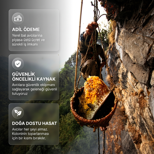 Zirve Bal - Gerçek Karadeniz